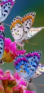 Vibrant butterflies resting on pink flowers in a scenic nature view.