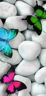 Vibrant butterflies on white pebbles wallpaper.