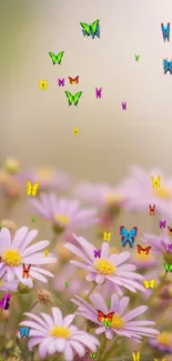 Colorful butterflies flutter above pink daisy flowers in this vibrant wallpaper.