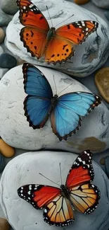 Three colorful butterflies on smooth stones.