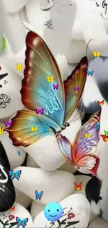 Colorful butterflies on calligraphy stones wallpaper.