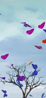 Vibrant butterflies in a blue sky with tree silhouette below.