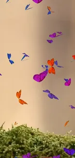 Colorful butterflies flutter on phone wallpaper.