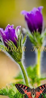 Purple flowers and butterfly with 'Summer Time' text in nature wallpaper.