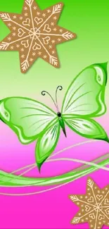 Green butterfly with stars on a pink and green background.