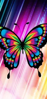 Vibrant butterfly with neon colors on abstract rainbow background.