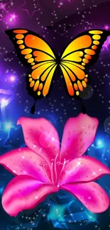 Colorful butterfly above a pink flower with a starry background.