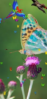 Butterfly perched on flowers with vivid colors and wildlife.