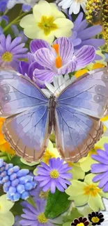 Blue butterfly on colorful flowers mobile wallpaper.