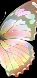 Vibrant pastel butterfly art design for mobile wallpaper.