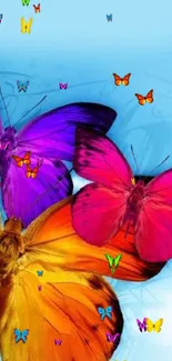 Colorful butterflies on a sky blue background.