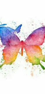 Vibrant butterfly splash wallpaper with artistic colorful butterflies on a white background.