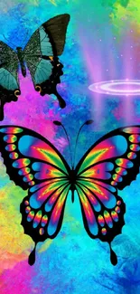 Vibrant multicolored butterfly wallpaper with blue background.