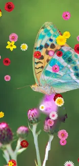 Colorful butterfly and flowers on a green background.