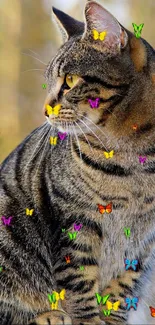 Tabby cat surrounded by colorful butterflies in nature.