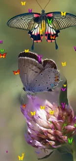 Colorful butterflies hover above a vivid flower.