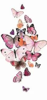 Colorful butterflies fluttering on a white background, perfect for phone wallpaper.