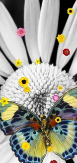 Colorful butterfly on a black and white daisy with vibrant floral accents.