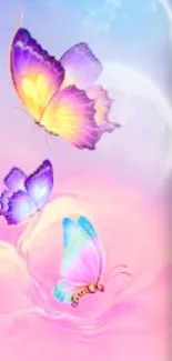 Colorful butterflies in pastel sky wallpaper.