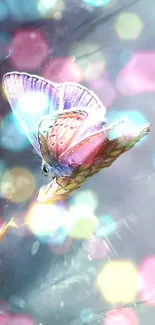 Colorful butterfly on branch with dreamy bokeh background.