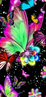 Vibrant butterfly wallpaper with neon colors on a black background.