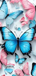 Colorful blue and pink butterfly wallpaper, artistic design.