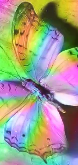 Colorful butterfly fantasy art with vibrant hues and glowing effects.