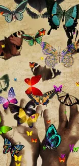 Silhouetted hands releasing colorful butterflies on rustic background.