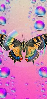 A colorful butterfly on a pink background with abstract bubbles.