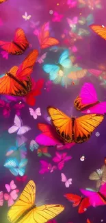 Vibrant wallpaper with colorful butterflies fluttering on a pink and purple background.