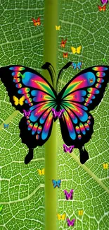 Colorful butterfly on a vibrant green leaf mobile wallpaper.