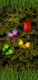 Colorful butterflies on green leafy background wallpaper.