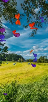 Bright meadow with colorful butterflies under a blue sky.