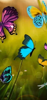 Vibrant butterflies flutter over a sunlit green meadow, rich in colors.