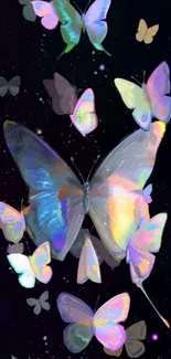 Vibrant butterfly wallpaper with colorful wings on a dark background.