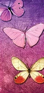 Three colorful butterflies on a purple and pink gradient background.