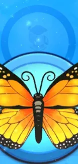 Vibrant orange and black butterfly on blue background wallpaper.