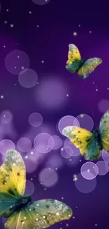 Colorful butterflies on a purple background.