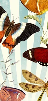 Colorful butterflies and insects on a striped light blue background.