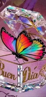 Colorful butterfly on 'Buen Día' crystal box wallpaper.