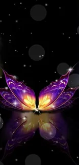 Purple butterfly in starry night with reflection.