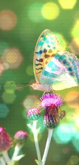 Vibrant butterfly perched on a purple flower against a green background.