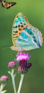 Colorful butterfly rests on purple flower, green background.