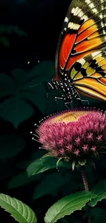 A vibrant butterfly rests on a purple flower against a dark green background.