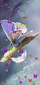 Butterfly perched on a flower with colorful butterflies and feathers.