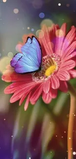 A vibrant butterfly sits on a pink flower with bokeh lights in the background.