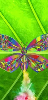 Colorful butterfly with rainbow wings on a green leaf background.