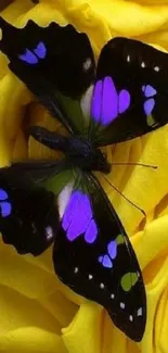 A colorful butterfly on vibrant yellow roses background.