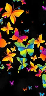 Colorful butterflies on a black background mobile wallpaper.