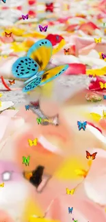 Colorful butterflies and petals wallpaper in pink, yellow, and blue hues.